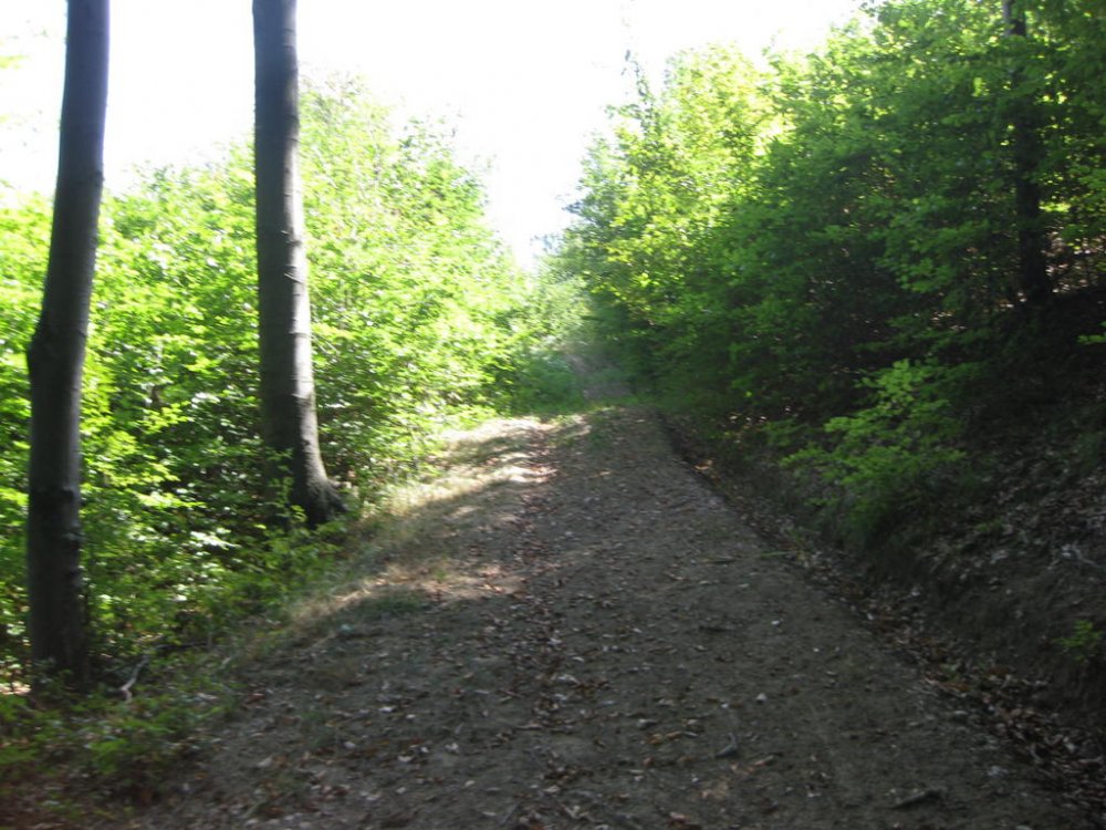1723155198_Picture102.thumb.jpg.801d2b9a2e9c20dd2419f587d459a09c.jpg