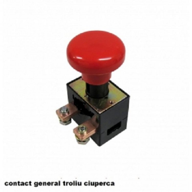 1753606827_contactgeneraltroliuauto-300x300.thumb.jpg.a5bfe6a34b0e19c2af7af3ead4f6daa9.jpg