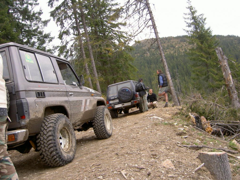 1798435100_Rachitele(Scrind-Frasinet)2011_apr_104.thumb.jpg.a97f99ddf86bff7503e4543c6148feb1.jpg
