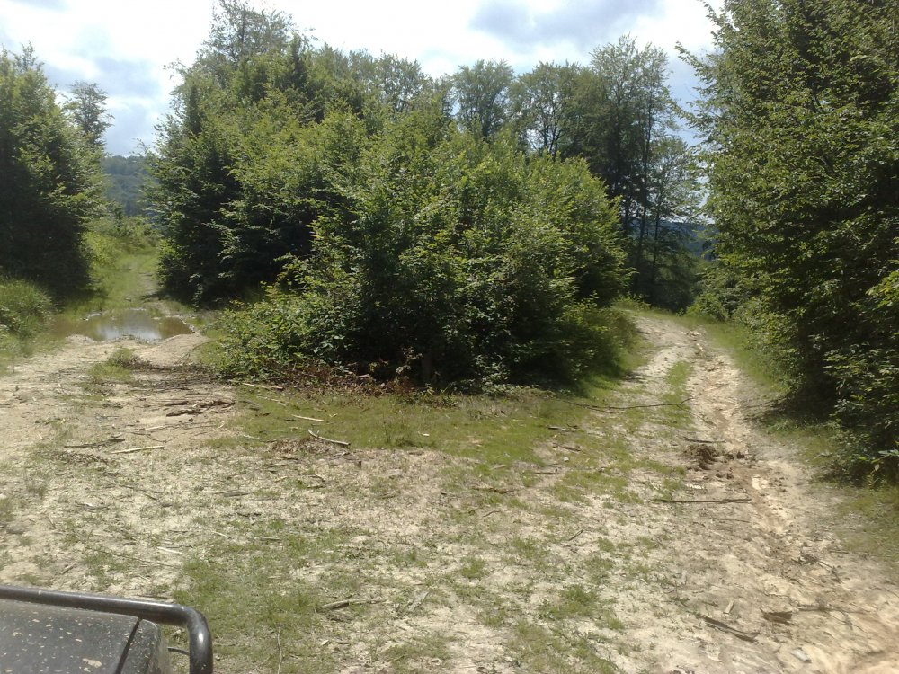 1803258176_Traseuoffroad005.thumb.jpg.f41f454c25877a58aad9f2deed71df1a.jpg
