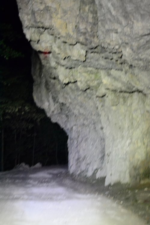 1815768237_DSC_7691(853x1280).thumb.jpg.cf7518808ce7b24a93a34f8f22037c89.jpg