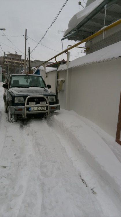 1822529421_IMAG0358(Small).thumb.jpg.291e9ce9b2cc9d6847165831daeedf32.jpg