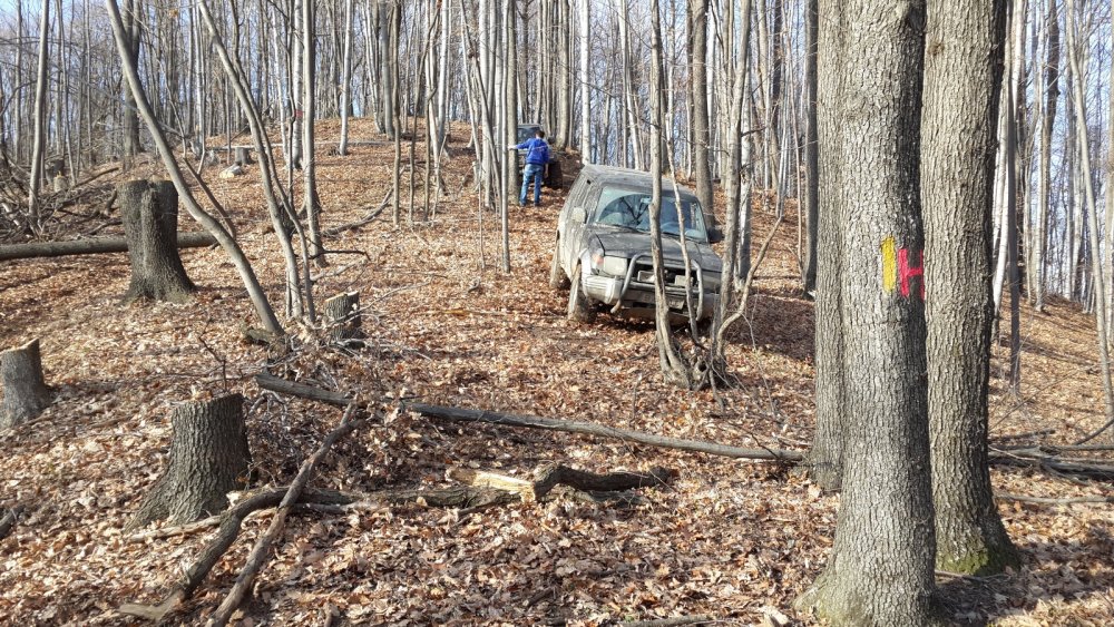 1832517333_OFFROADiesire28dec2013(5)_1600_900.thumb.jpg.73eec8310d445566e96d31a2e62f843d.jpg