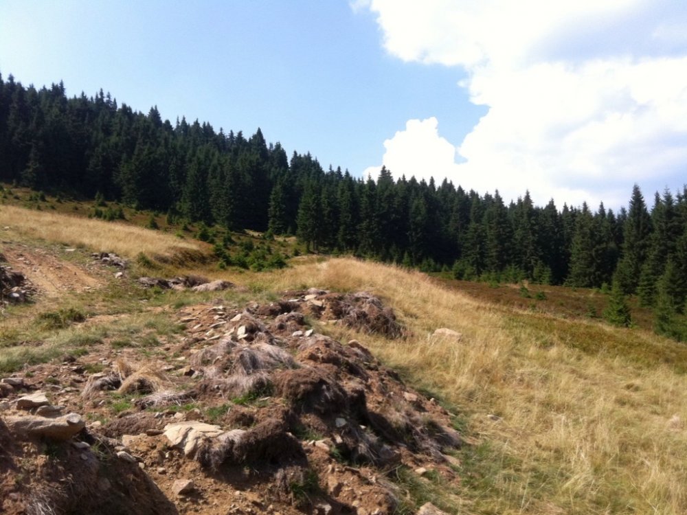 1885795888_pozecheiaromani018.thumb.jpg.94b9ca5b53a51877c332cc34e38003ee.jpg