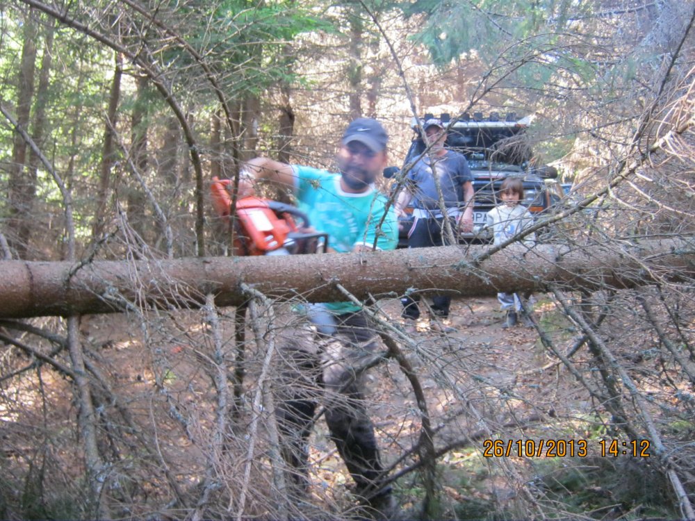 1895404020_Picture435.thumb.jpg.e045424712fdbc9a159c5a7abb28d611.jpg