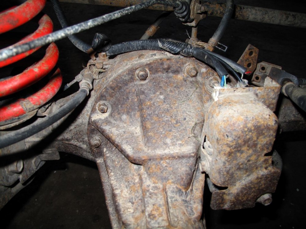 1897194079_IMG_0785(Medium).thumb.JPG.572a7e2c09c98e0a81cbe6d2f21ada92.JPG