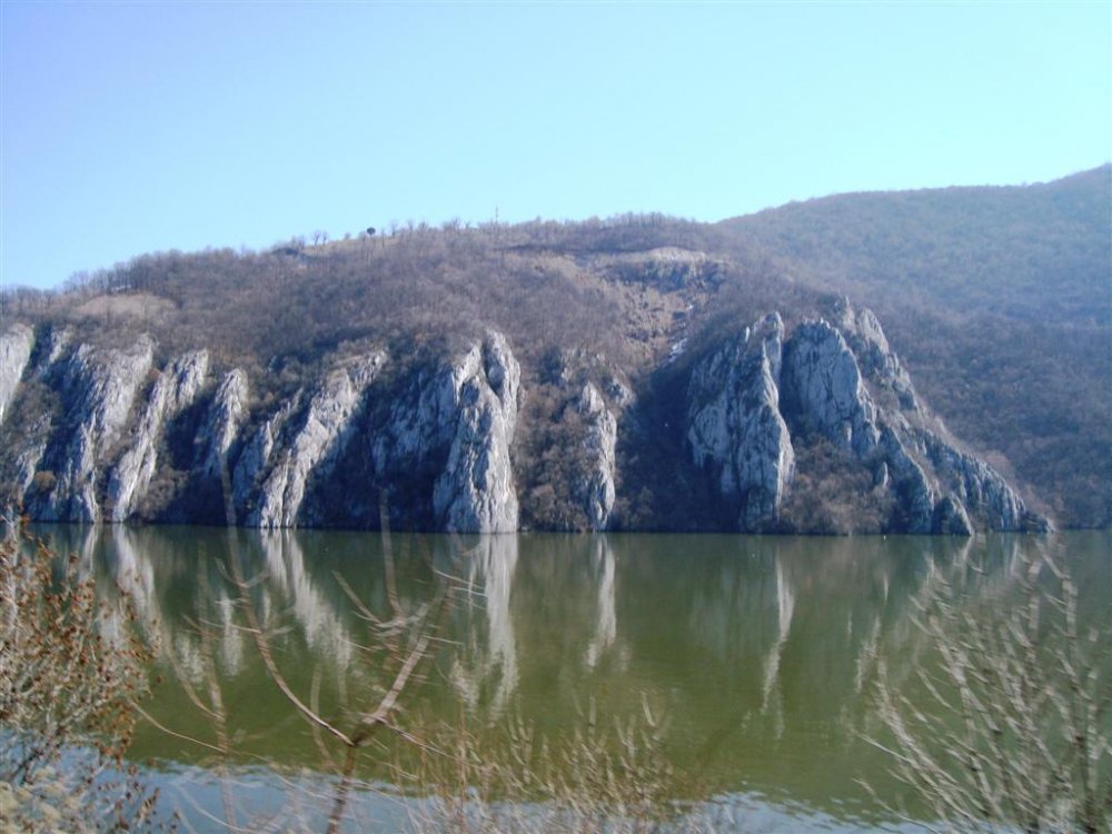 1985753078_DSC04789(Large).thumb.JPG.c9dd4e254dfe4a38fdd674bc9161034d.JPG