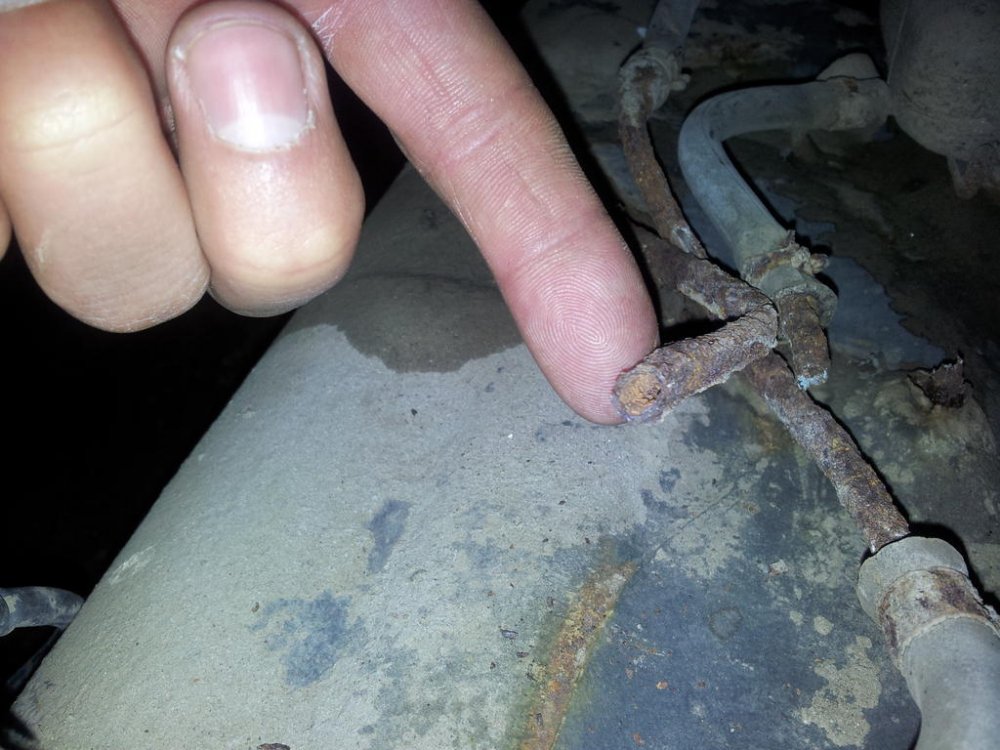 20120410_113549.thumb.jpg.91528c05430517fd96ead72b0d93ac50.jpg
