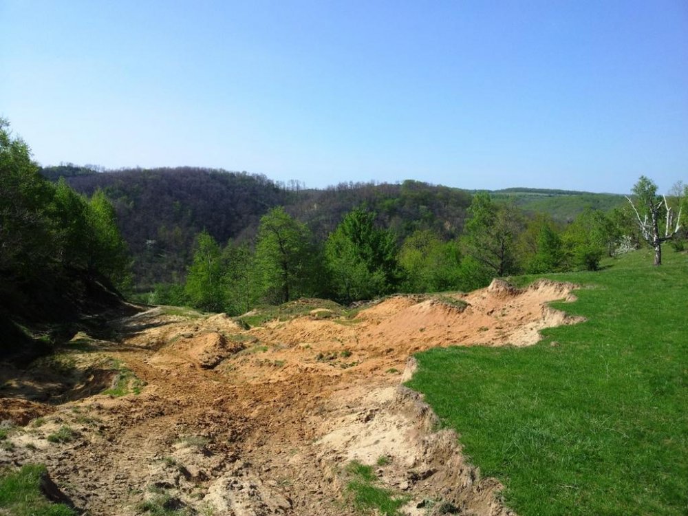 20120428_153933.thumb.jpg.3deb48dc1884697d2031c10e92742d42.jpg