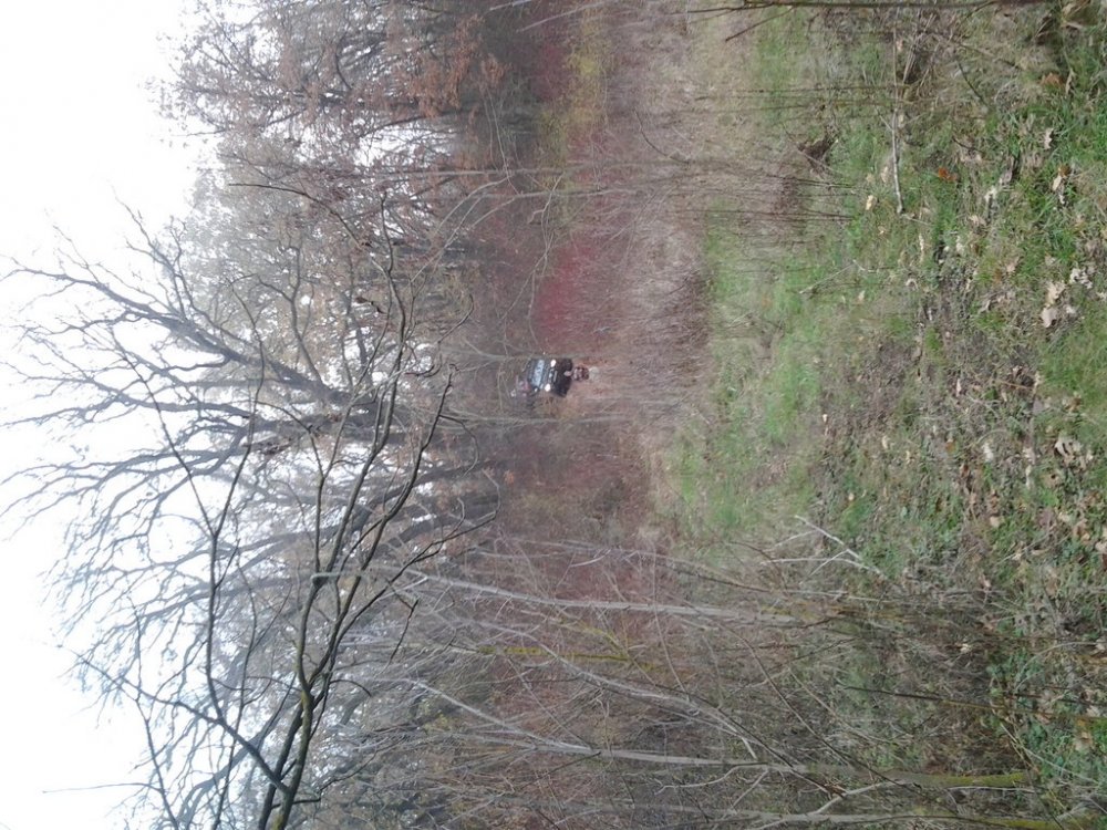 20121117_112304.thumb.jpg.f00fe5892926c28cf76a7398ace90ab2.jpg