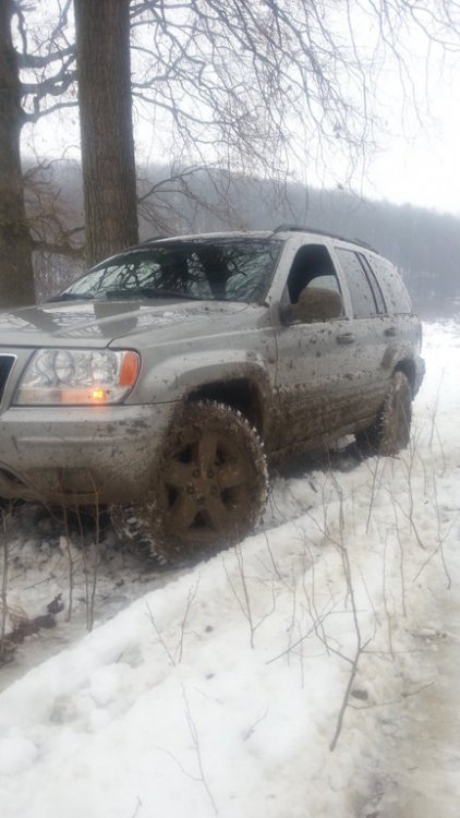20121229_125241.thumb.jpg.822d93b076702d1e72f0903447a88b69.jpg