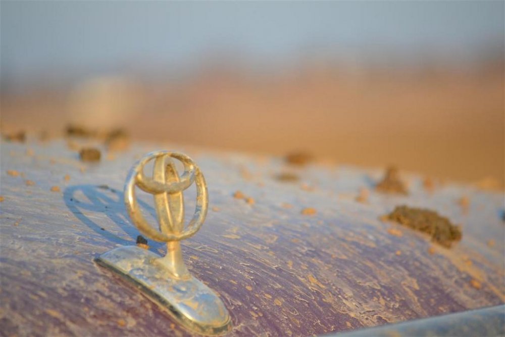 2012181292_DSC_0772(Medium).thumb.jpg.3596a7142803971f8339972e6a27c1cd.jpg