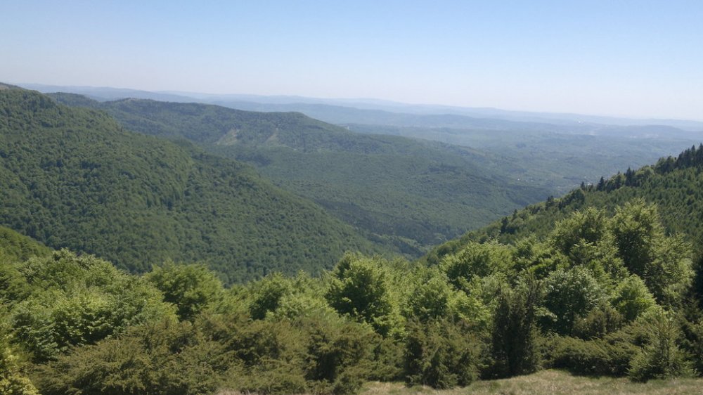 2013-05-11-384.thumb.jpg.247bb87101ce92d6b24823bc5b1e7433.jpg