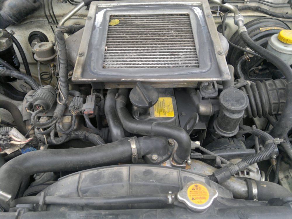 2013-10-15-277.thumb.jpg.ba85aebd8fae00a8b232d1410c46d799.jpg