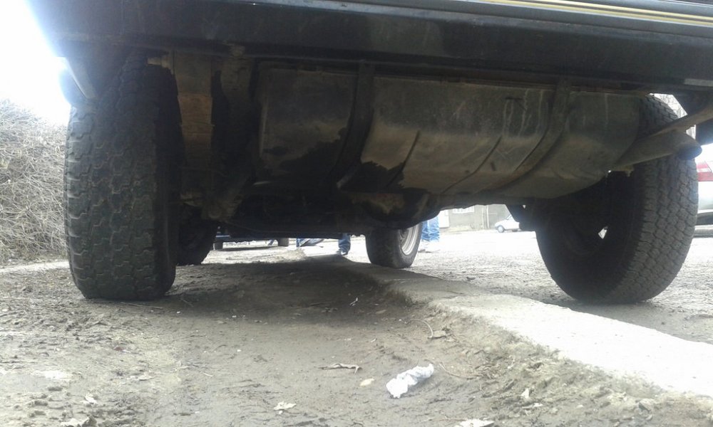 20130224_123501.thumb.jpg.e55ea6e56733fbc59b1fcf57976c3d73.jpg