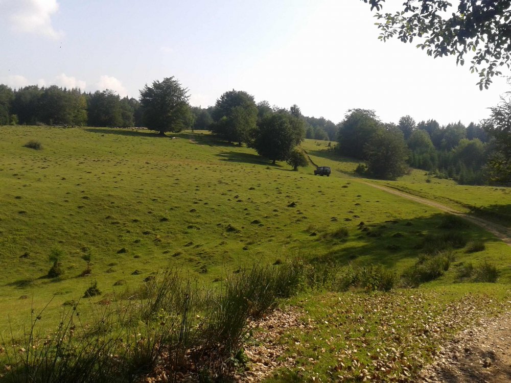 20130720_1010344!.thumb.jpg.6d28f259110016bc64c86376c54baab7.jpg