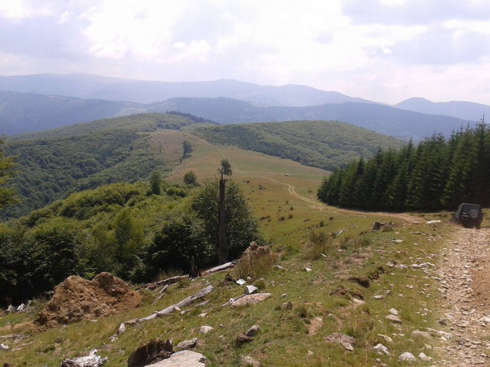 20130720_11541711!.thumb.jpg.db1493446d61a91cc1d11a6d3cba3fb6.jpg