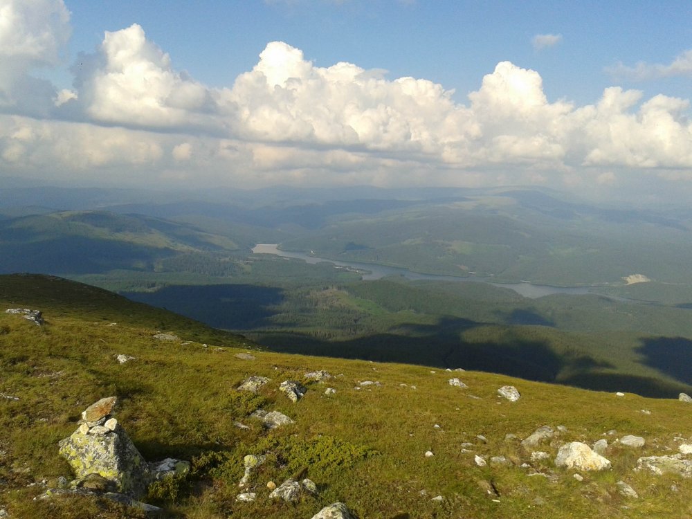 20130720_18271817!.thumb.jpg.1204af0529e5d03b51ec94c7e66eab9d.jpg