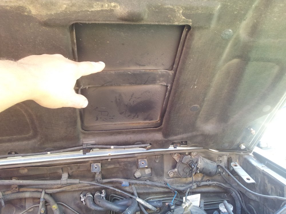 20130809_155905.thumb.jpg.8d341daf1f4d6474722a93fe938bccc8.jpg
