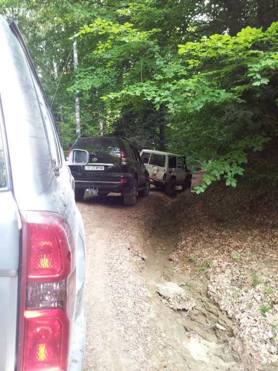 20130811_095354.thumb.jpg.5b9f4444e0fe6a39d469ed3e5f6ac8bc.jpg