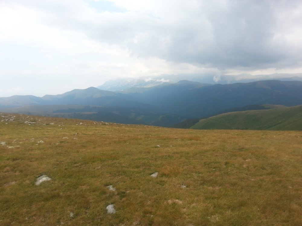 20130811_120756.thumb.jpg.813ff7f6bf9363a95a5c718d4dd744e5.jpg