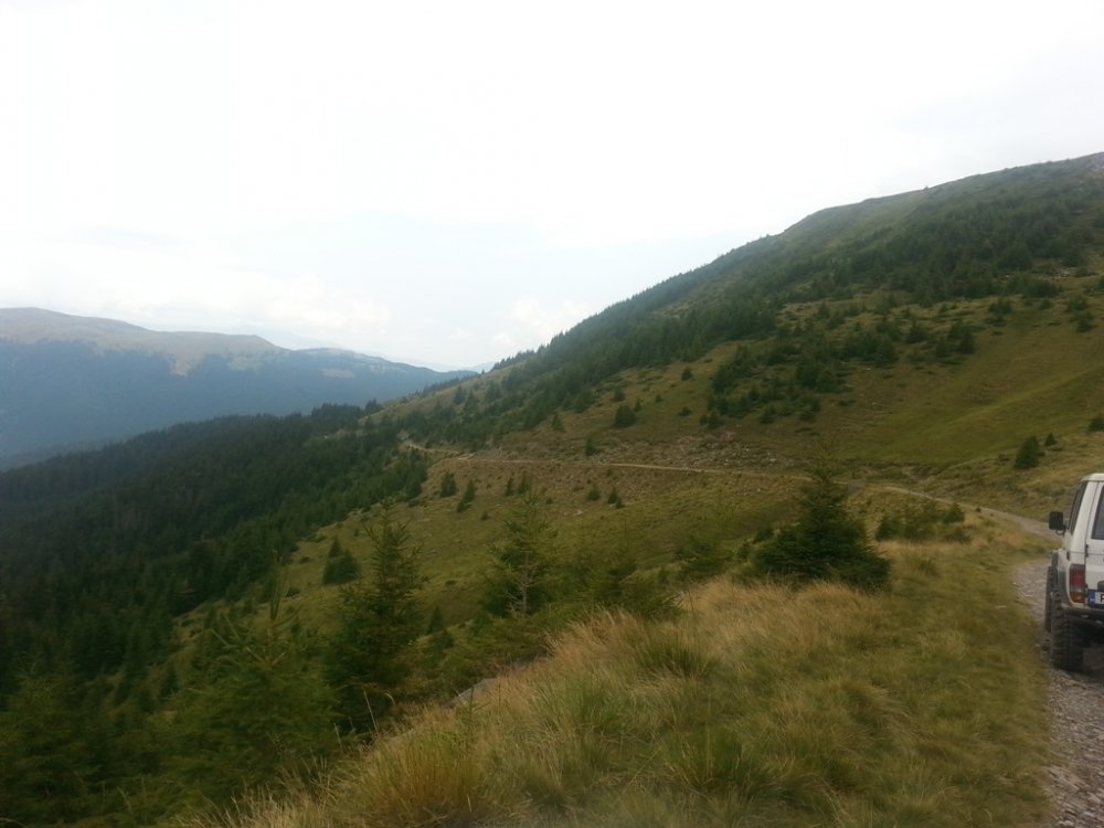 20130811_123048_1.thumb.jpg.98b5fa09a01de14692c2355f70bb17bb.jpg