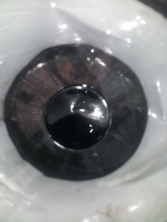 20130909_155537.thumb.jpg.10bc00e4a667a83f43a382327d5cc7e5.jpg