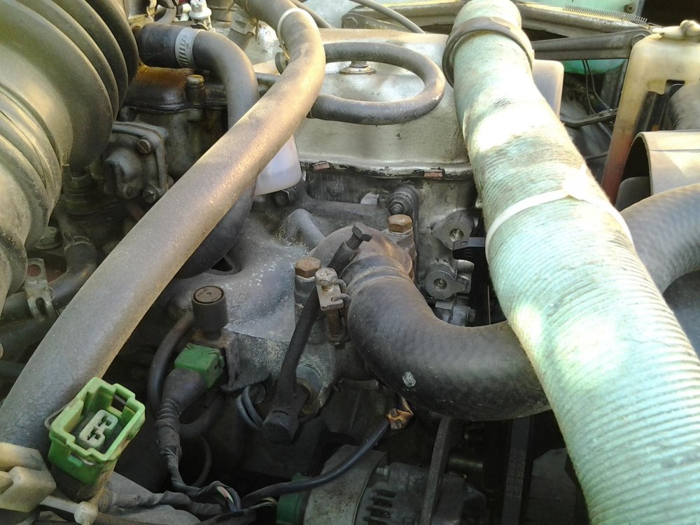 20130927_163139.thumb.jpg.0318e45fdf71fe3d8d36d557cf3fca20.jpg