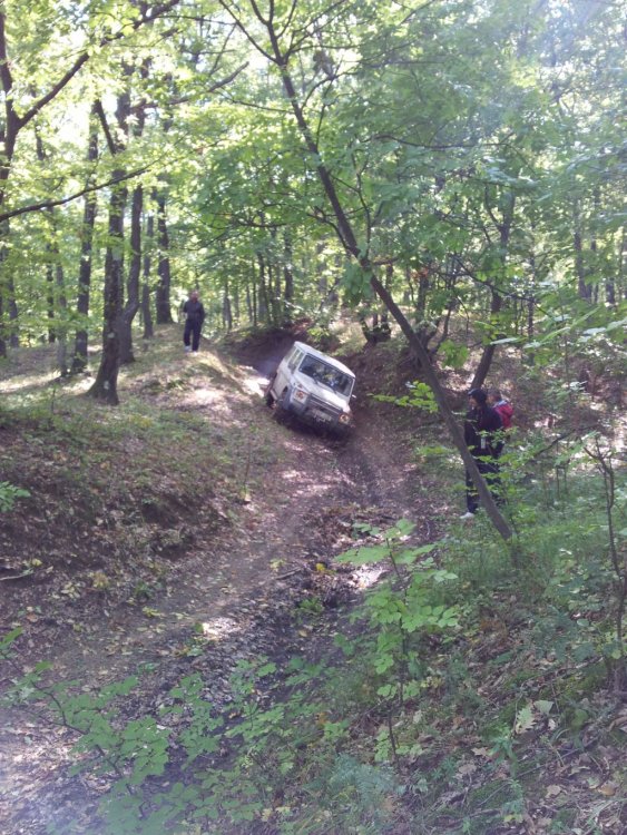 20131006_121714.thumb.jpg.8a4d2100c4ca8d72324e3932026991c8.jpg