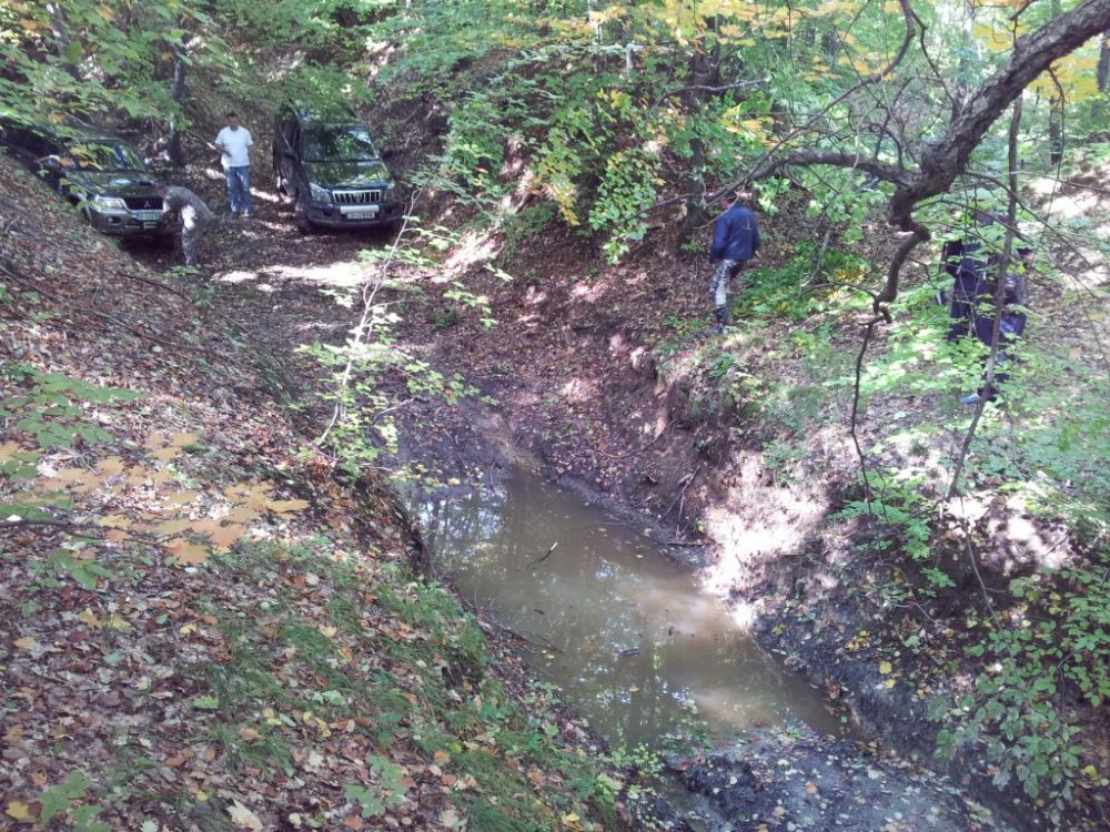 20131006_144500.thumb.jpg.5e7e8adb913527a279fdf594fb114d25.jpg