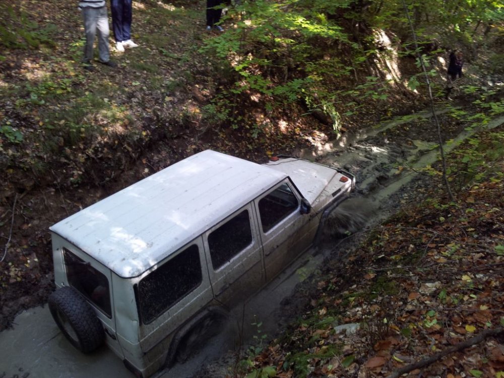 20131006_150514.thumb.jpg.eb48a429a60aabfe4c9f9f9281536240.jpg