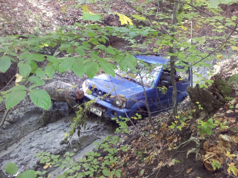 20131006_152056.thumb.jpg.f52bfe047702024c4feeca3a52aa6c7b.jpg