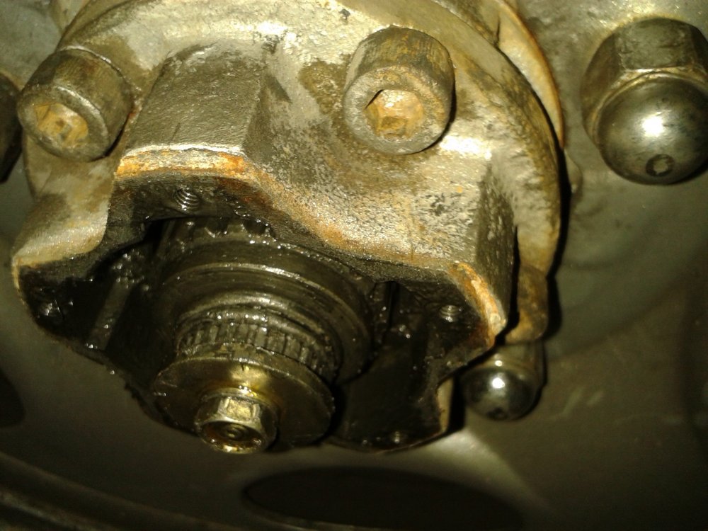 20131114_095327.thumb.jpg.c9c87208f0772916219a6fcfe00ee83f.jpg
