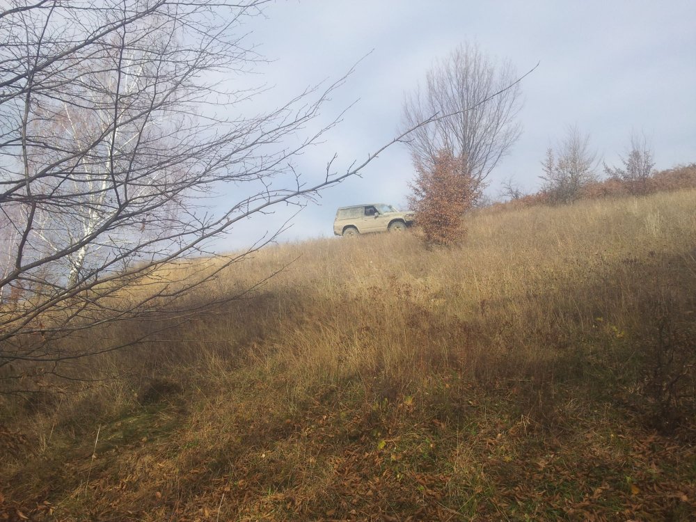 20131114_113400.thumb.jpg.bcff76759f8f7b422d964b369dbee6f3.jpg
