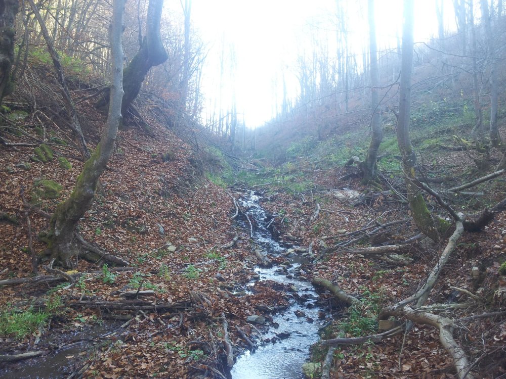 20131115_104015.thumb.jpg.18da58e2b3a77504bfb522429e41d36f.jpg