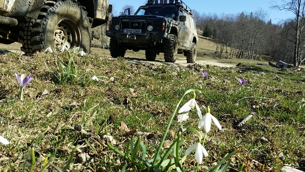 20140322_144529.thumb.jpg.67323d93ff17eb23c7aa0be93ac708bb.jpg