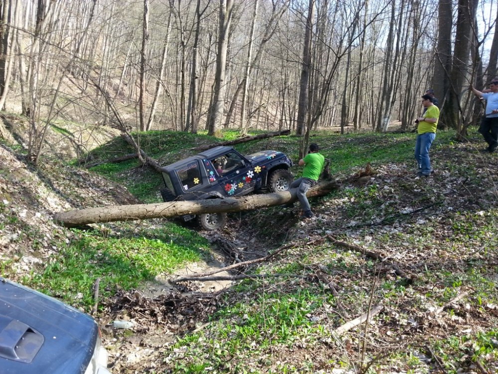 20140323_142822.thumb.jpg.262f002e4afcd6c76f4650aac079e70f.jpg