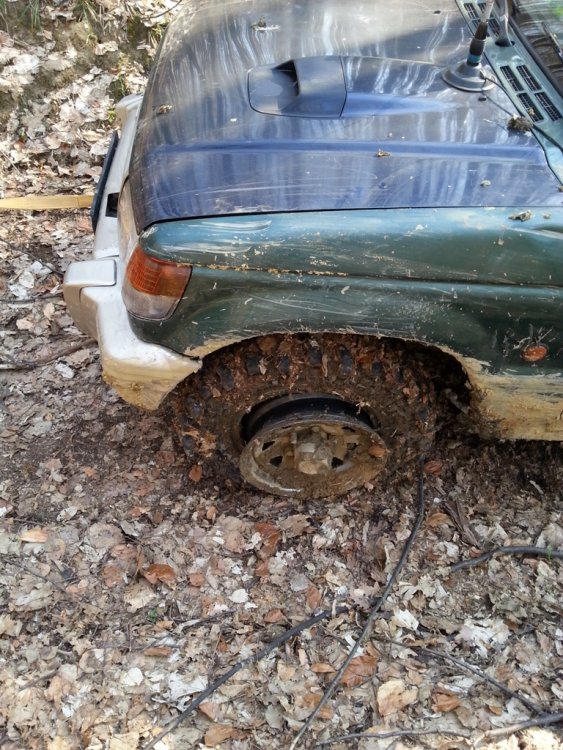 20140323_151504.thumb.jpg.394880760f82f146a9be76a83a4b7e56.jpg