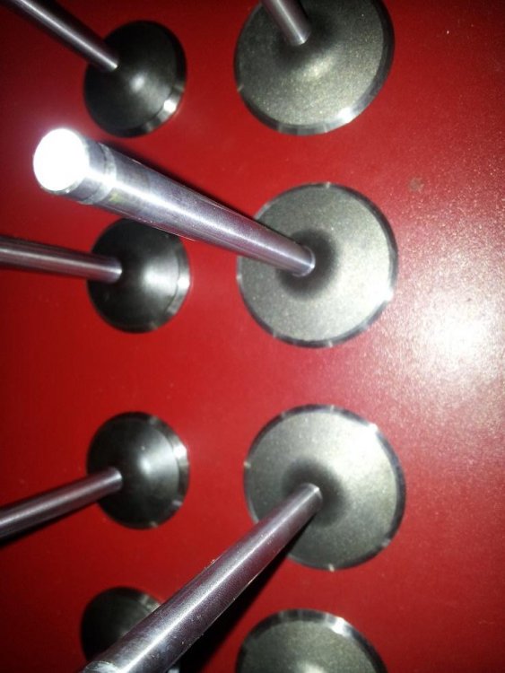 20140418_152252mic.thumb.JPG.fa11acadd3221d451c67fb360e47af03.JPG