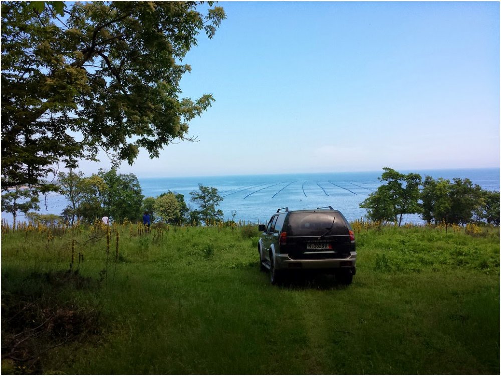 20140502_134252.thumb.jpg.cf8bceb98a4916d0e7564df7cf178136.jpg