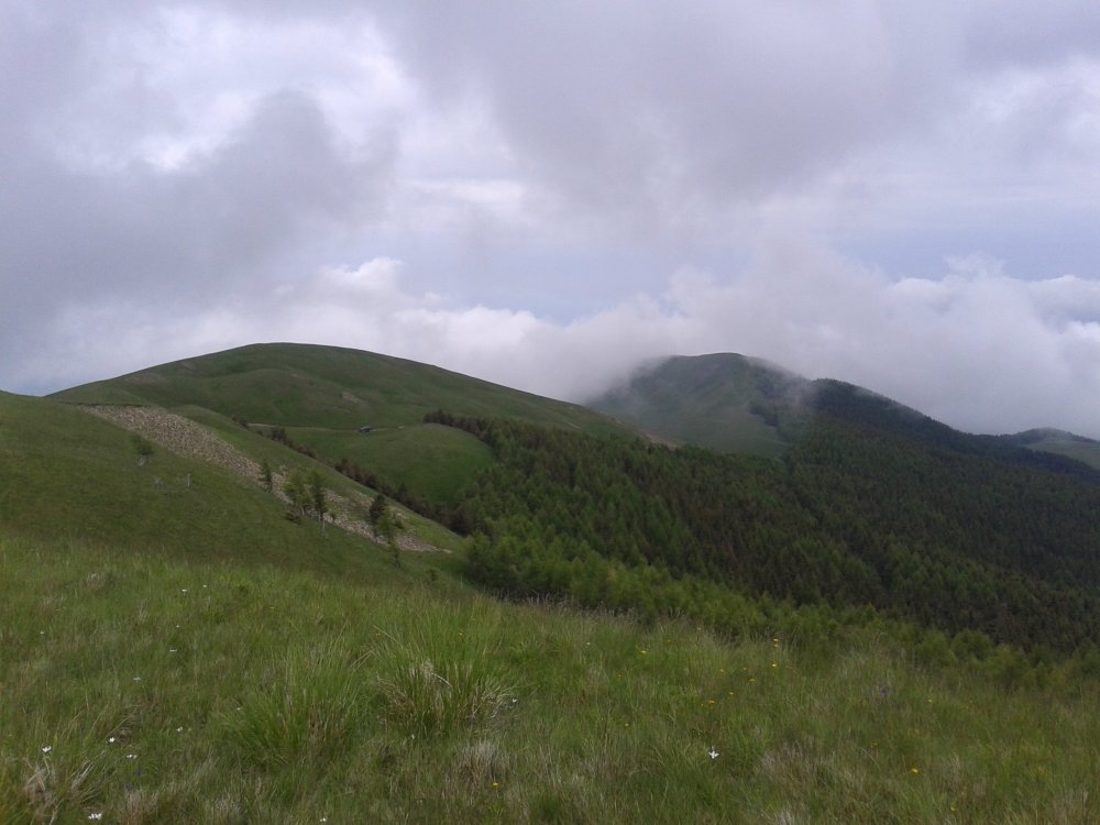 20140615_122337.thumb.jpg.a58bd394923c1d9f6556b848d04cc966.jpg