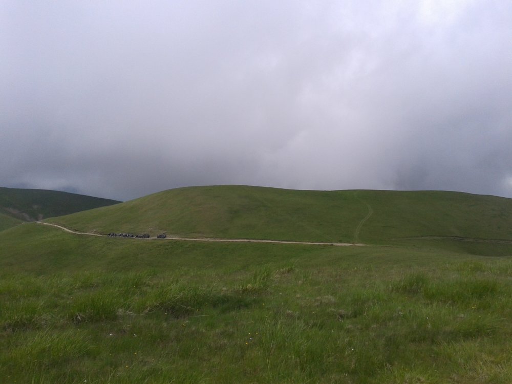 20140615_122352.thumb.jpg.b37f17ecbd4b933a3937571b1af5e1ce.jpg