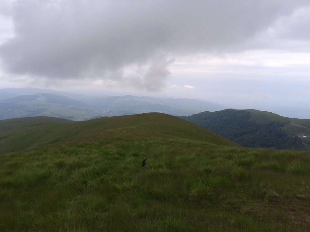 20140615_131618.thumb.jpg.cc2d222e17a7927f0c59458525071708.jpg