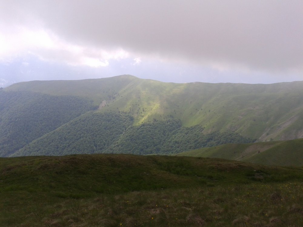 20140615_160606.thumb.jpg.e3f259a3d7cfcfe10160981e251da173.jpg