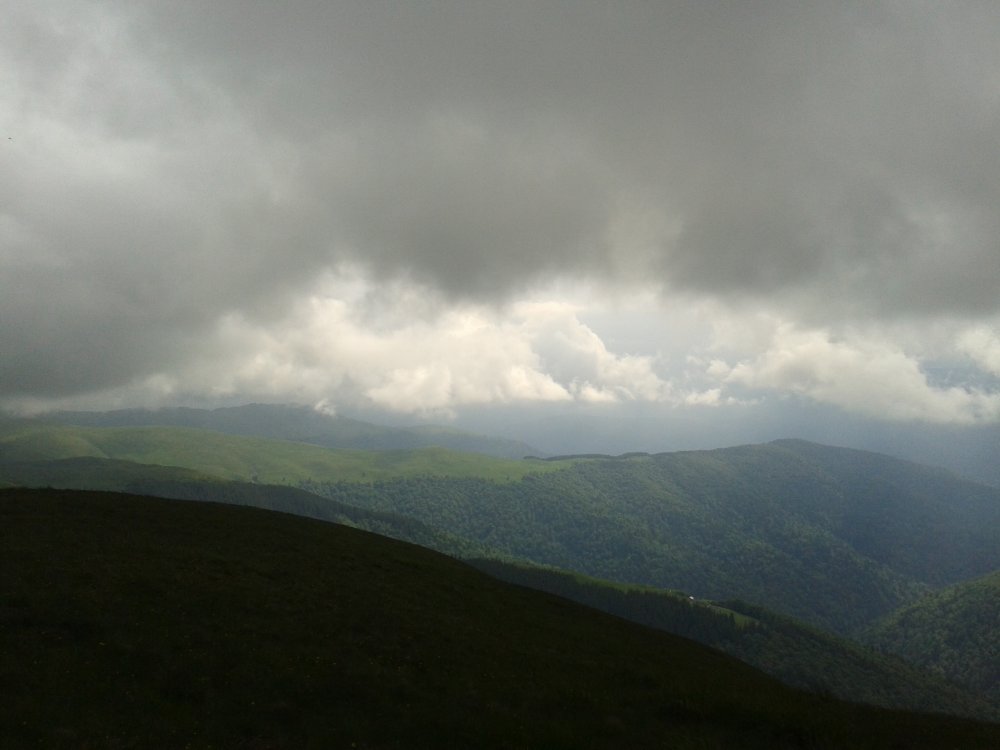 20140615_160650.thumb.jpg.00bfcfa12aa671c29b4fa3f6be44c08d.jpg