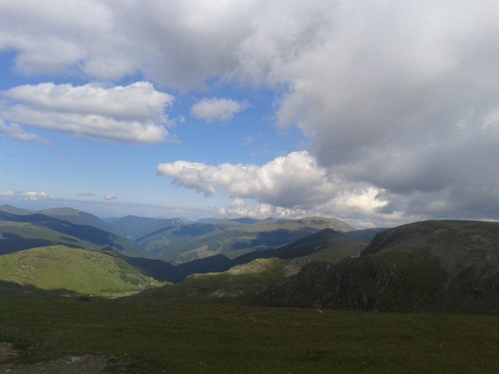 20140704_164830.thumb.jpg.5c056022c62ec5f209b387a47dda4a58.jpg