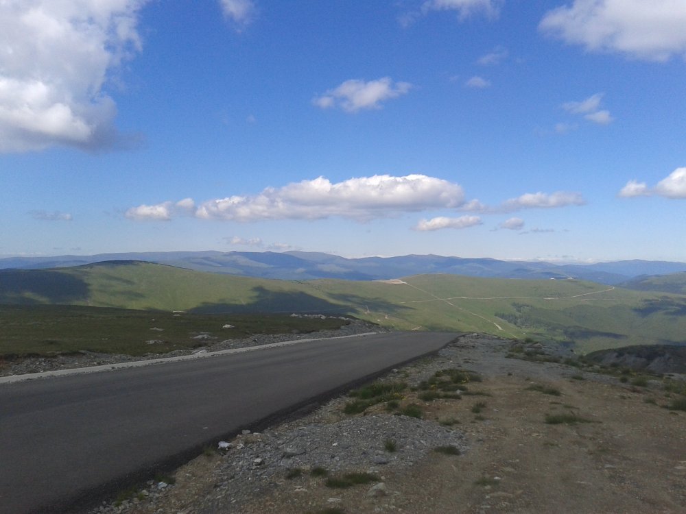 20140704_164901.thumb.jpg.d28a4624b6ab915e247c39b4dd760007.jpg