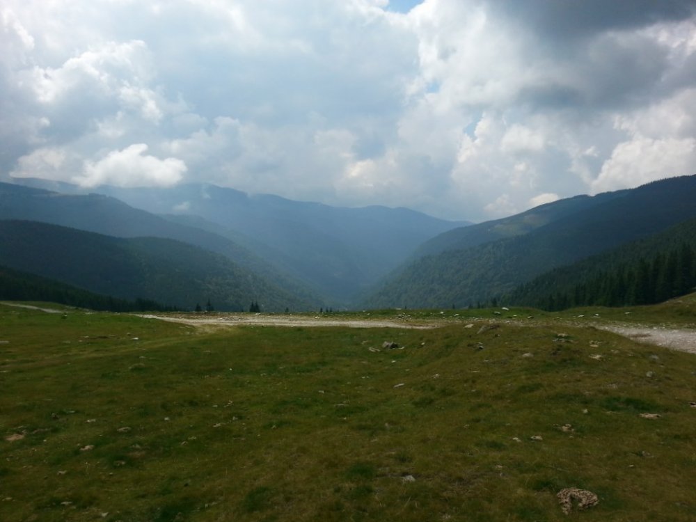 20140725_114327_1024x768.thumb.jpg.76543fe4e655f8c562104f625b266b6c.jpg