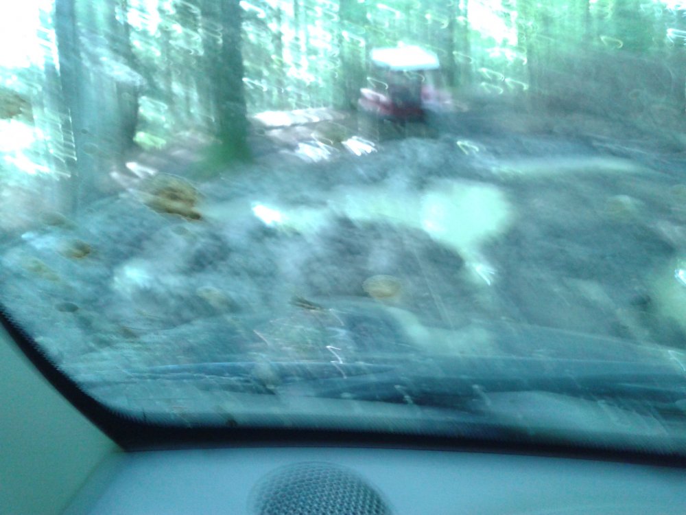 20140728_093533.thumb.jpg.1db2de4b4e330baf63c52c59ff70c41e.jpg