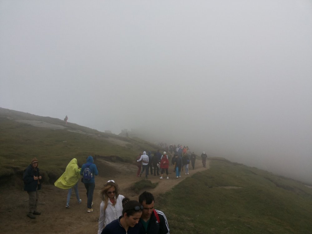 20140816_135720.thumb.jpg.2e6a97630b699827b353381bf76e25eb.jpg